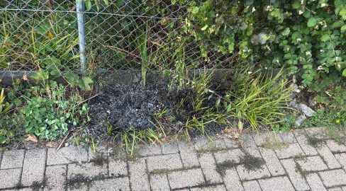 Flawil SG: Abflammgerät setzt Hecke in Brand