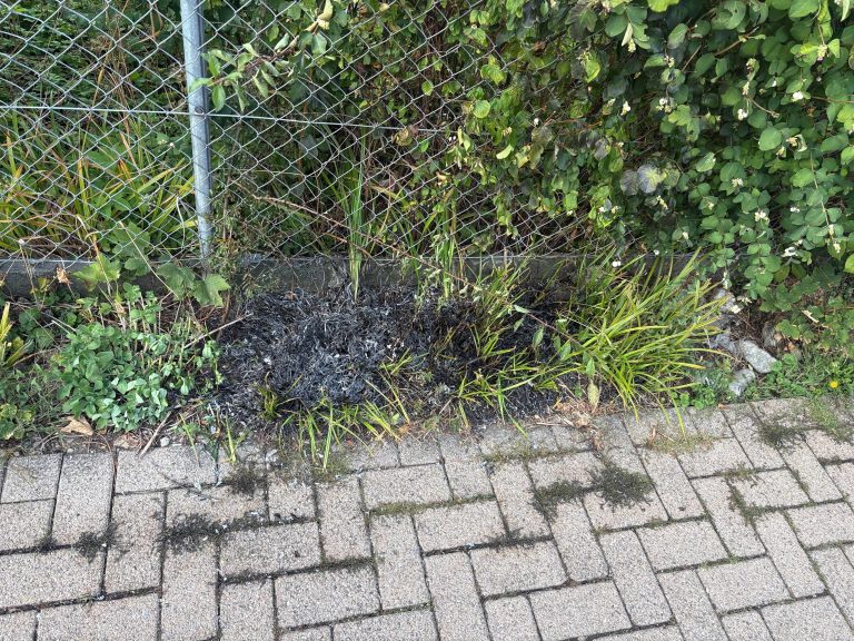 Flawil SG: Abflammgerät setzt Hecke in Brand