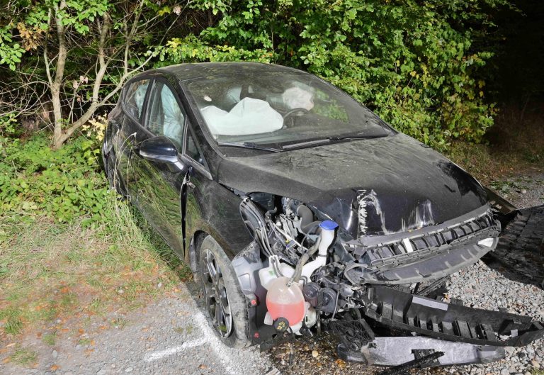 Müswangen LU: Lenker (20) knallt mit 1.16 Promille in Bäume: Unfall