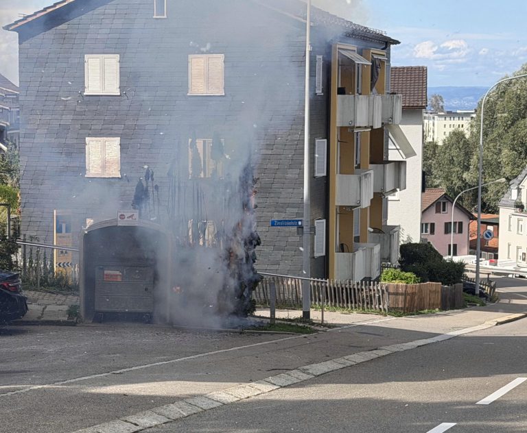 Wittenbach SG: Abflammgerät setzt Thujahecke in Brand