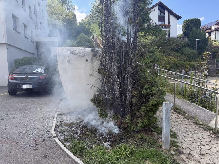 Wittenbach SG: Abflammgerät setzt Thujahecke in Brand