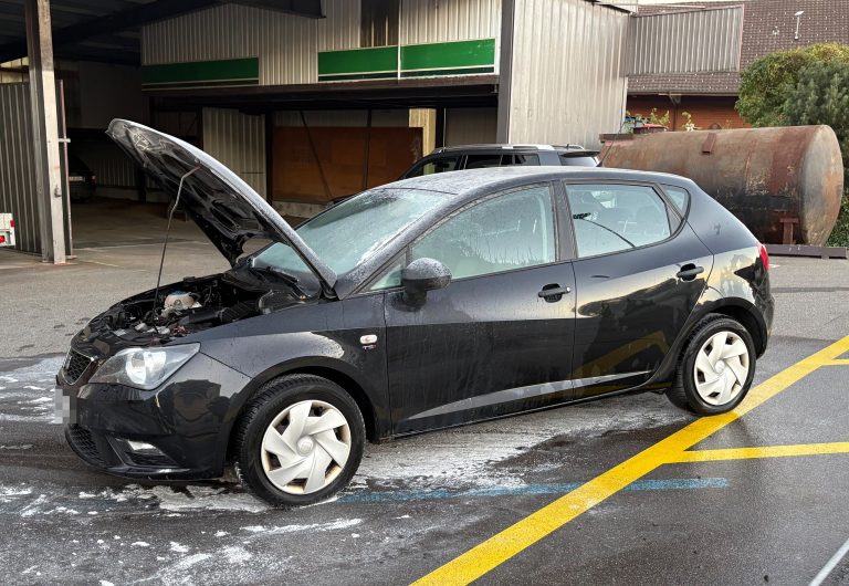 Siegershausen TG: Auto von Lenkerin (65) fängt plötzlich Feuer