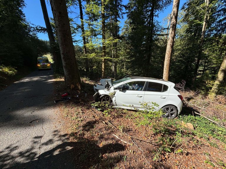 Uerkheim AG: Opel rammt Baum, Frau bei Unfall schwer verletzt
