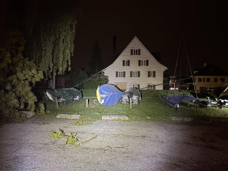 Goldach SG: Baum stürzt bei Gewitter auf parkiertes Auto