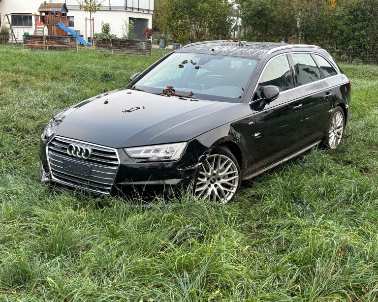 Arbon TG: Promillefahrer baut Unfall, Beifahrerin im Spital