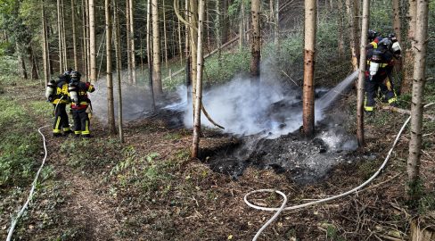 Bronschhofen SG: Asche löst Brand im Wald aus