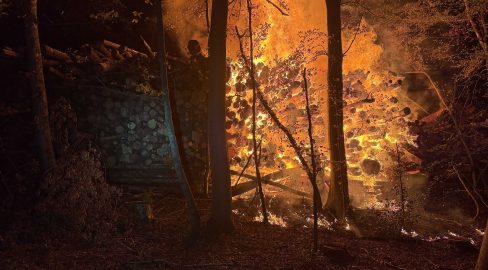 Baden AG: Baumstämme in Vollbrand, Feuerwehr bis morgens im Einsatz
