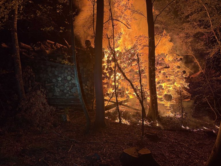 Baden AG: Baumstämme in Vollbrand, Feuerwehr bis morgens im Einsatz