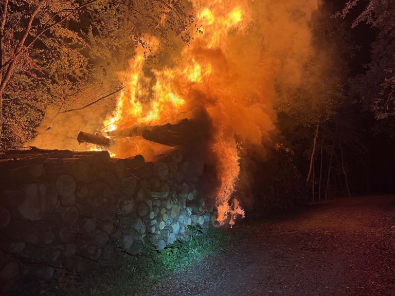 Baden AG: Baumstämme in Vollbrand, Feuerwehr bis morgens im Einsatz