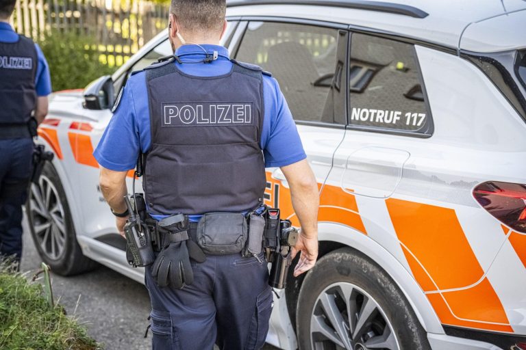 Eggerstanden AI: Seriefeuer aus fahrendem Auto