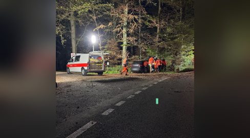 Wermatswil ZH: Lenker (20) kracht in Baum, 3 Verletzte bei Unfall