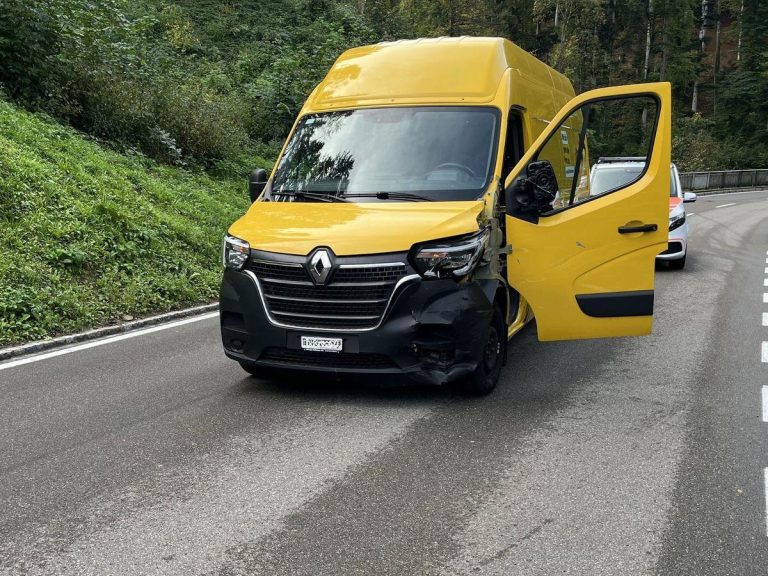Wolfhalden AR: Mann stiehlt Lieferwagen und baut Unfall