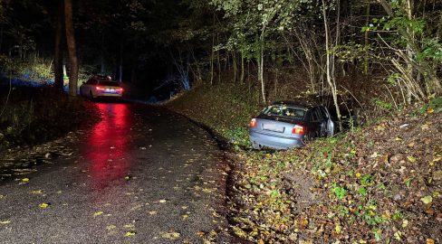 Würenlingen AG: Neulenkerin baut Unfall mit Audi im Wald