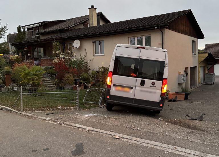 Hefenhofen TG: Lenker (20) nickt ein, Unfall im Vorgarten