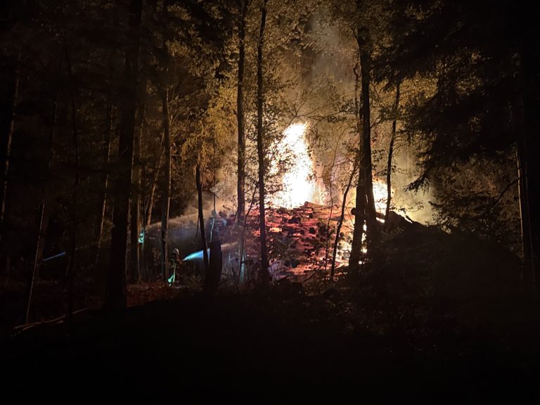 Baden AG: Baumstämme in Vollbrand, Feuerwehr bis morgens im Einsatz