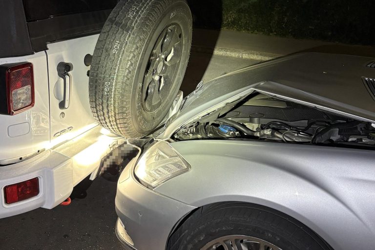 Arbon TG: Promillefahrer baut Unfall, Beifahrerin im Spital