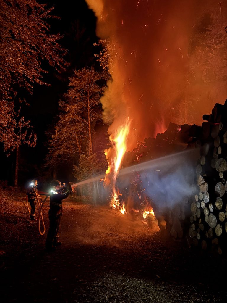 Baden AG: Baumstämme in Vollbrand, Feuerwehr bis morgens im Einsatz