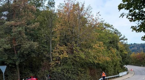 Grafstal ZH: Senior (84) knallt in Baum: 2 Schwerverletzte bei Unfall